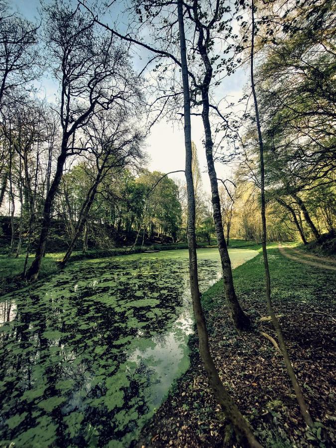 Domaine Du Val Sauvage Langeais Exterior foto